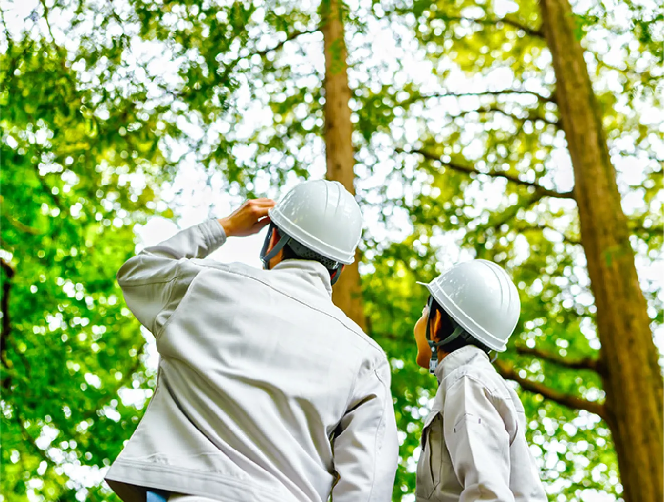 経審（W点）対策としての「社会性」コンテンツの可視化